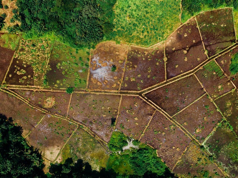 Choosing the Right Plot for a Villa: Location, Ground and Zoning